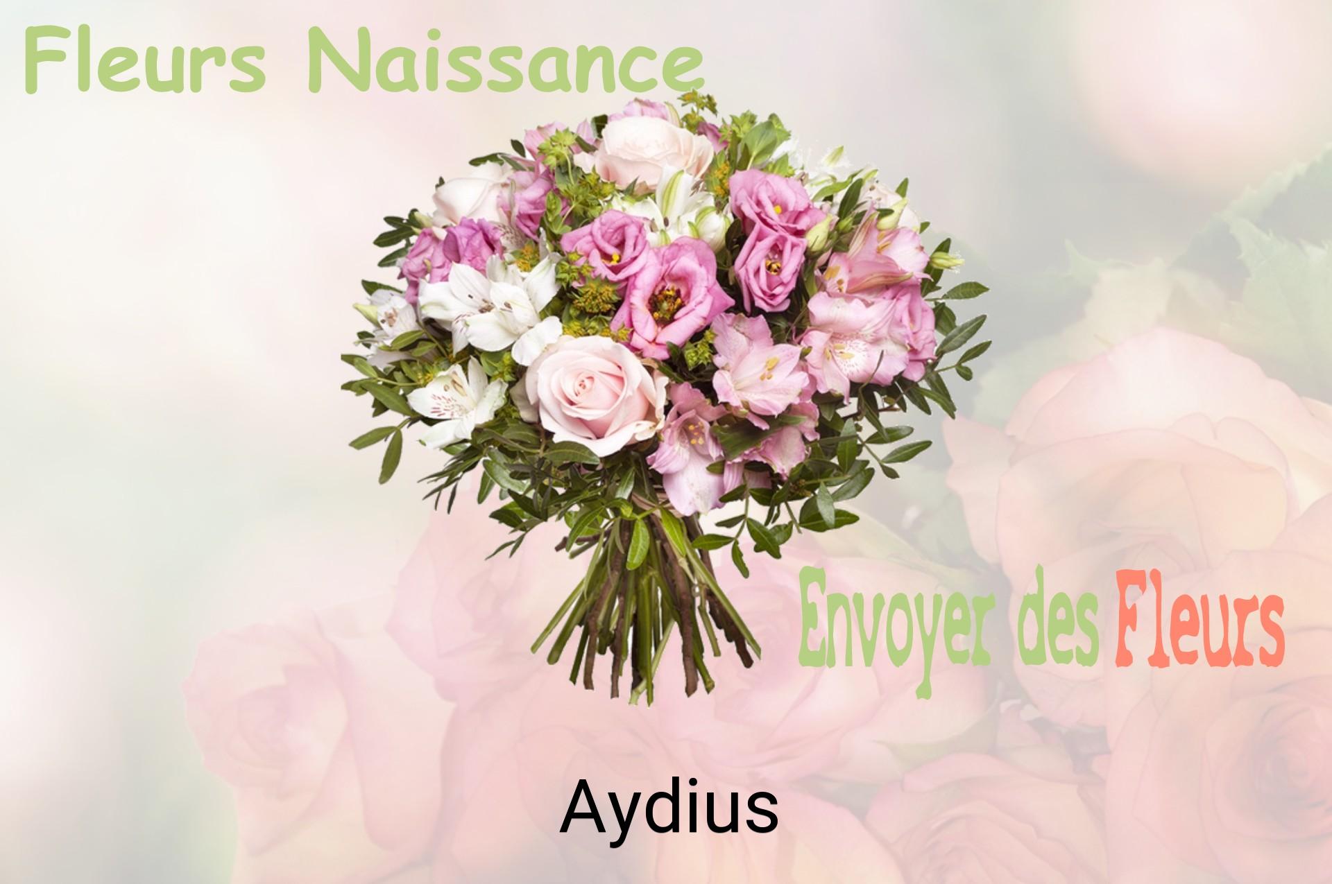 Bouquet de fleurs de naissance livré à Aydius