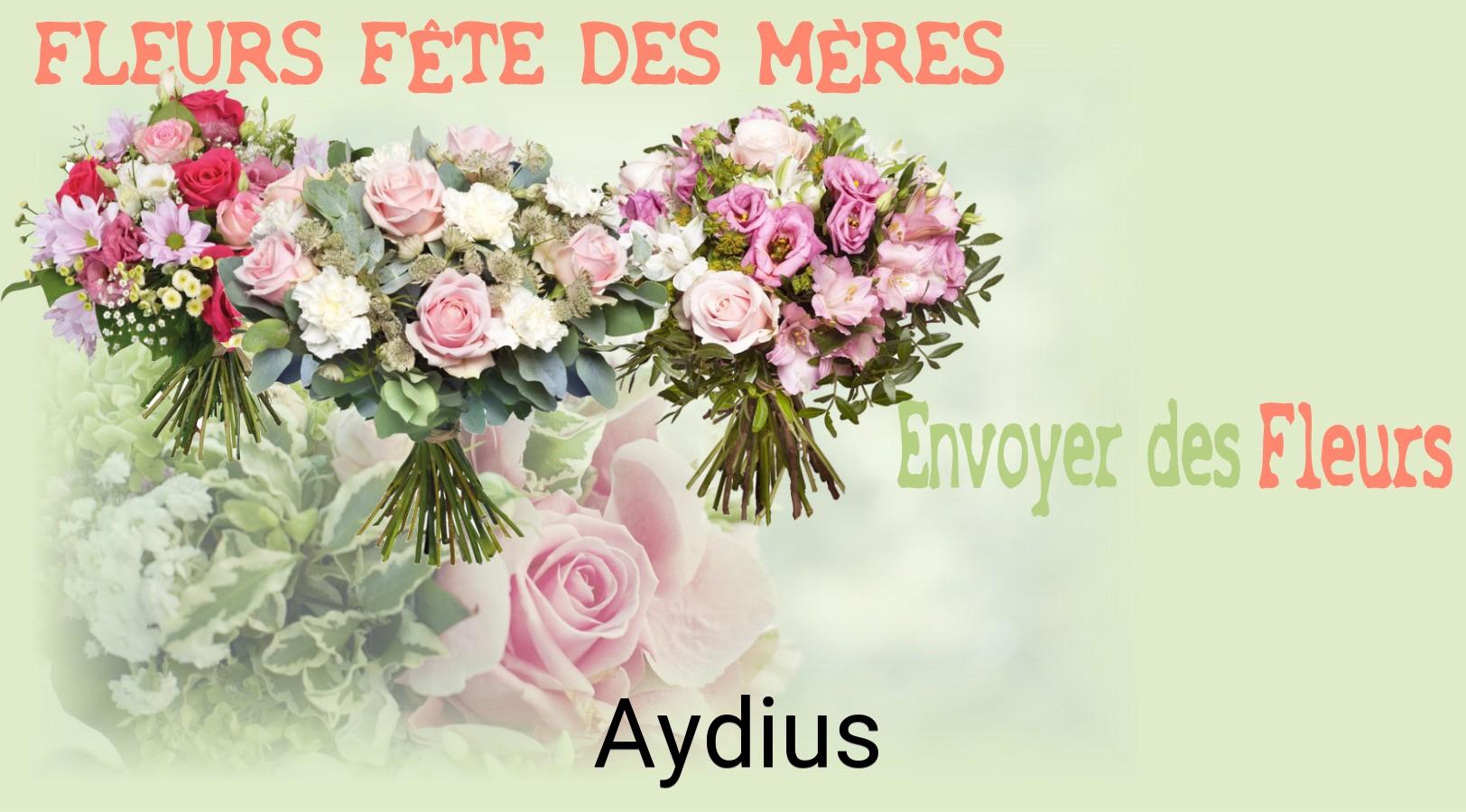 Bouquet de Fête des Mères livré à Aydius
